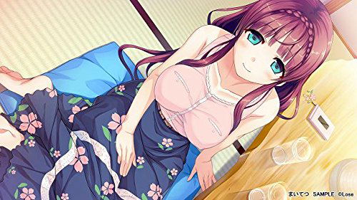 Maitetsu: Pure Station [Collector's Edition] (Multi-Language) for