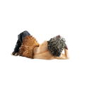 G.E.M. Series Demon Slayer Palm Size: Inosuke-kun thumbnail 4
