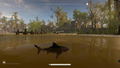 Maneater thumbnail 12