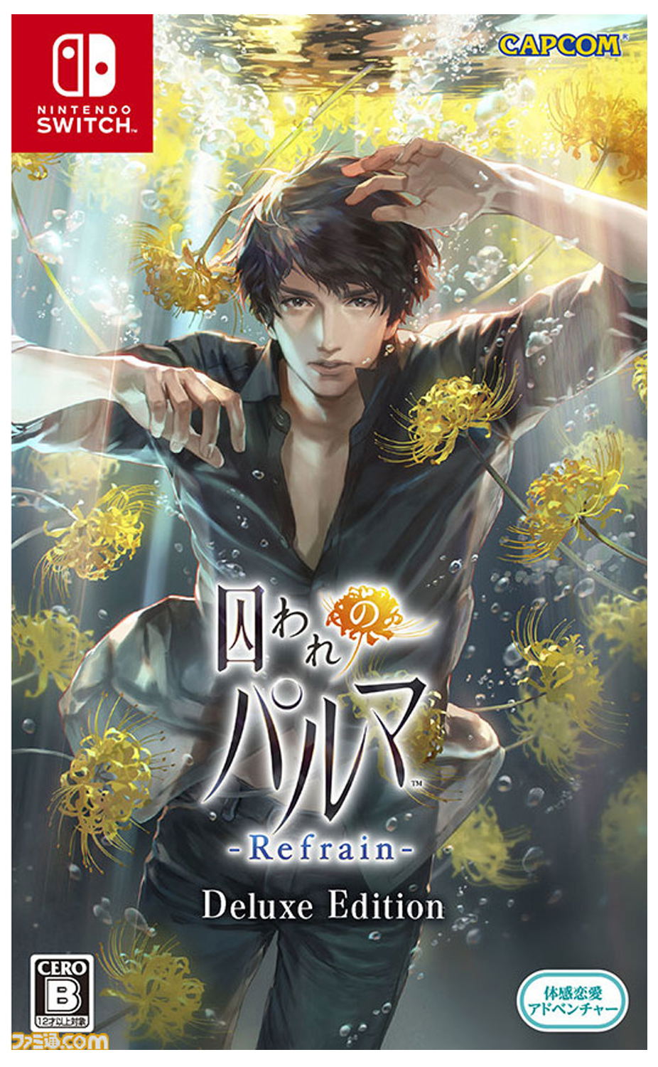 Towaware no Palm: Refrain (Collector's Edition) for Nintendo