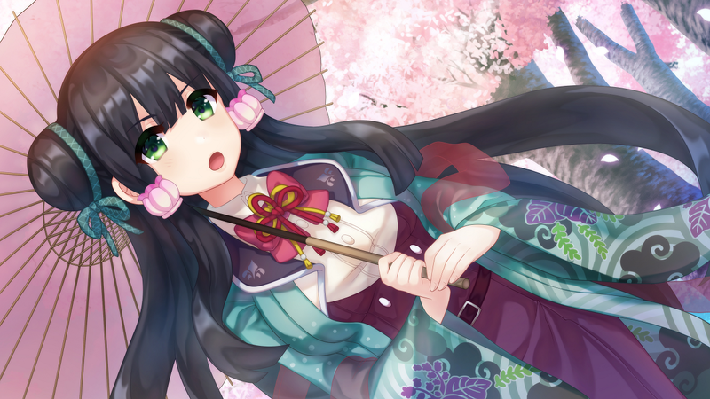 Bokuhime Project image 8