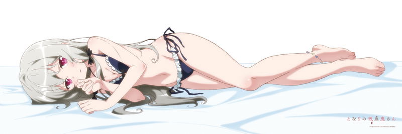 Ms. Vampire Who Lives In My Neighborhood Original Illustration Smooth Dakimakura Cover: Sophie image 2