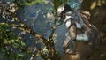 Predator: Hunting Grounds thumbnail 7