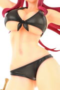 Fairy Tail 1/6 Scale Pre-Painted Figure: Erza Scarlet Swimsuit Gravure_Style thumbnail 24