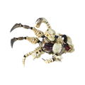 Assemble Borg Nexus AB029 Skull Spartan thumbnail 8