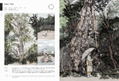 Illustration 2020 thumbnail 9