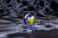 Mirai Akari Racing Project Mirai Akari Pacific Race Queen Ver. Full Color 3D Crystal Figure thumbnail 8