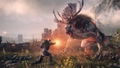 The Witcher 3: Wild Hunt (Game of the Year Edition) <span class="ext ext_digital">digital</span> thumbnail 5