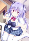 Tonari ni Kanojo no Iru Shiawase ~Summer Surprise~ [Premium Limited Edition] thumbnail 3