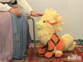 Pokemon BigMore! Pokemon Plush: BM11 Arcanine thumbnail 3
