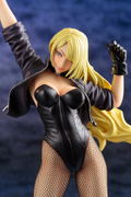 DC Comics Bishoujo DC Universe 1/7 Scale Pre-Painted Figure: Black Canary 2nd Edition thumbnail 9