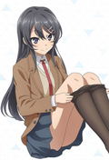 Rascal Does Not Dream Of A Dreaming Girl - Mai Sakurajima Pillow Cover thumbnail 2