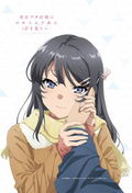 Rascal Does Not Dream Of A Dreaming Girl - Mai Sakurajima Pillow Cover thumbnail 3