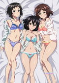 Strike the Blood B1 Wall Scroll: Yukina & Yuiri & Shio Lingerie thumbnail 3