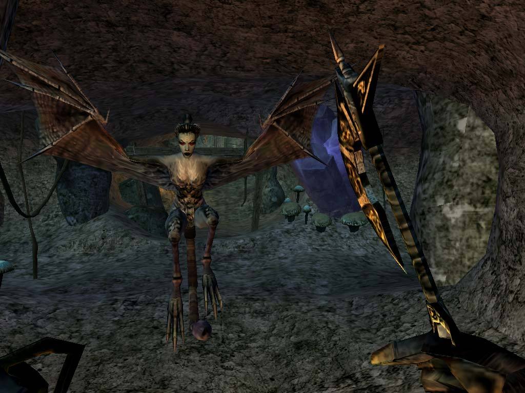 The Elder Scrolls III: Morrowind (Game of the Year Edition) STEAM