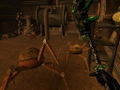 The Elder Scrolls III: Morrowind (Game of the Year Edition) <span class="ext" style="background-color: #2a475e; color: #FFFFFF;">STEAM</span> <span class="ext ext_digital">digital</span> thumbnail 6