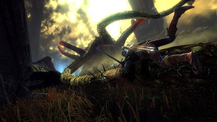 The Witcher 2: Assassins of Kings (Enhanced Edition) <span class="ext" style="background-color: #581c6c; color: #FFFFFF;">GOG.com</span> <span class="ext ext_digital">digital</span> image 9