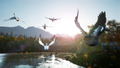 Hunting Simulator 2 thumbnail 12