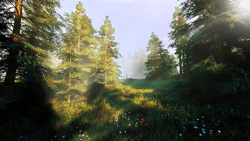 Hunting Simulator 2 image 11