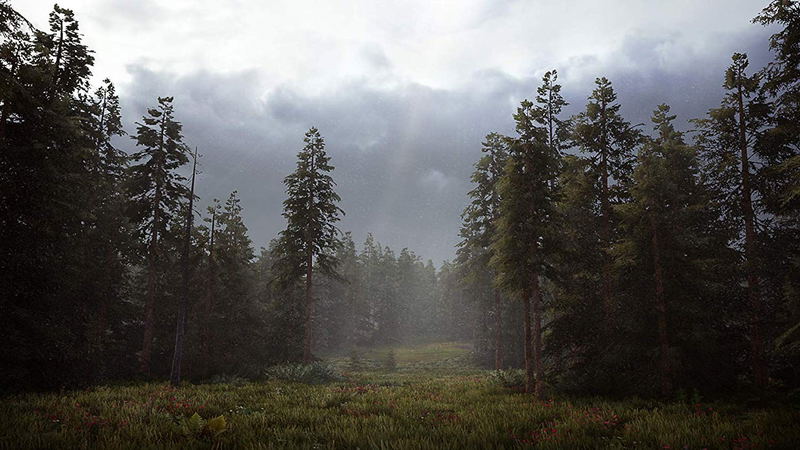 Hunting Simulator 2 image 13