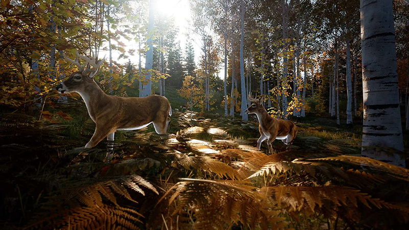 Hunting Simulator 2 image 9