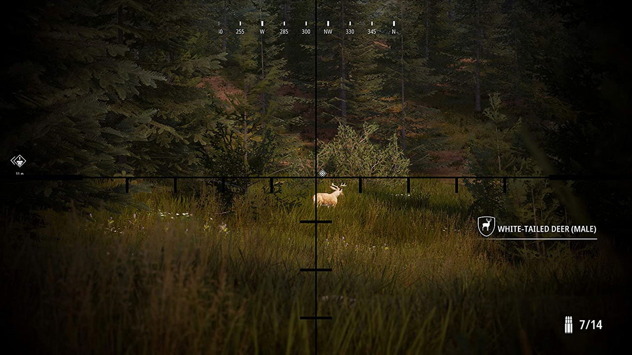 Hunting Simulator 2 対応 Nintendo Switch, Nintendo Switch 2