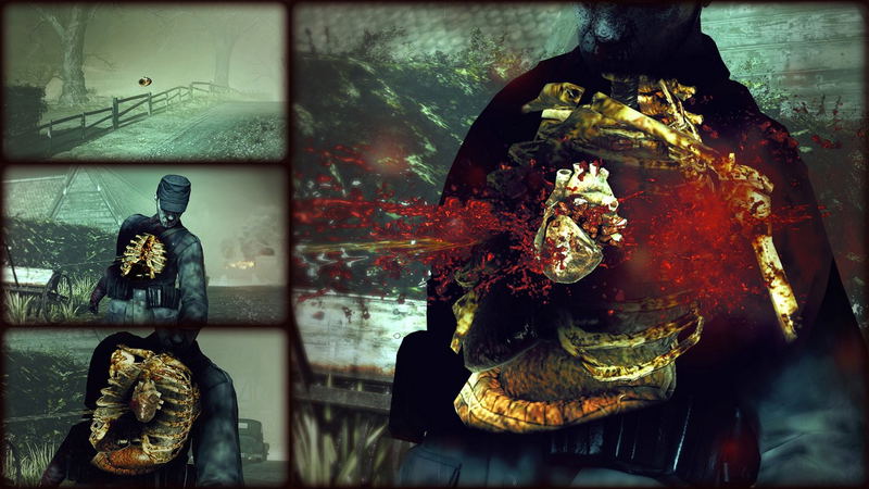 Zombie Army Trilogy (Multi-Language) image 3