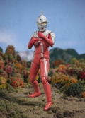 S.H.Figuarts Ultra Seven: Ultra Seven (Re-run) thumbnail 7