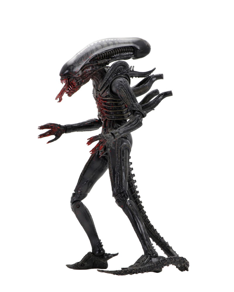 Alien 7'' Scale Action Figure: 40th Anniversary Assortment 2 (Set of 3 pieces) image 21