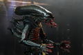 Alien 7'' Scale Action Figure: 40th Anniversary Assortment 2 (Set of 3 pieces) thumbnail 25