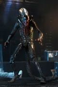 Alien 7'' Scale Action Figure: 40th Anniversary Assortment 2 (Set of 3 pieces) thumbnail 26