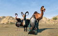 Goat Simulator: Payday (DLC) <span class="ext" style="background-color: #B0000F; color: #FFFFFF;">DLC</span> <span class="ext" style="background-color: #2a475e; color: #FFFFFF;">STEAM</span> <span class="ext ext_digital">digital</span> thumbnail 2