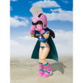 S.H.Figuarts Dragon Ball: Chi-chi thumbnail 5