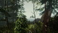 The Forest <span class="ext" style="background-color: #2a475e; color: #FFFFFF;">STEAM</span> <span class="ext ext_digital">digital</span> thumbnail 5
