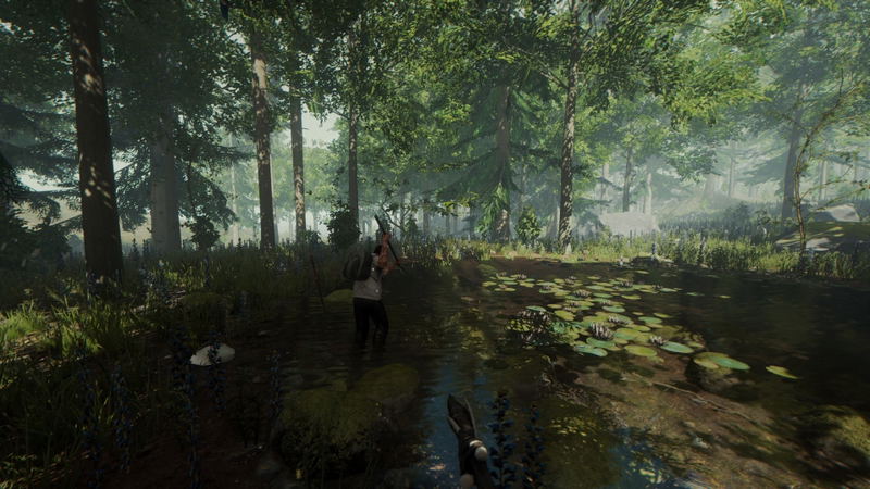 The Forest <span class="ext" style="background-color: #2a475e; color: #FFFFFF;">STEAM</span> <span class="ext ext_digital">digital</span> image 7