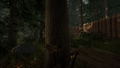 The Forest <span class="ext" style="background-color: #2a475e; color: #FFFFFF;">STEAM</span> <span class="ext ext_digital">digital</span> thumbnail 8