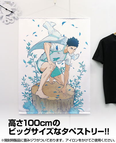 Haikyu!! To The Top 100cm Wall Scroll: Hajime Iwaizumi (Re-run) image 2
