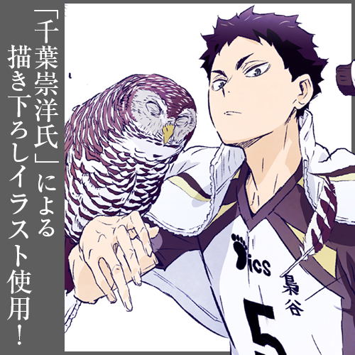 Haikyu!! To The Top 100cm Wall Scroll: Keiji Akaashi (Re-run) image 3