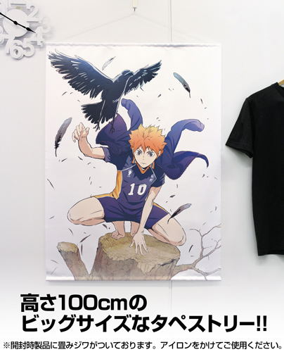 Haikyu!! To The Top 100cm Wall Scroll: Shoyo Hinata (Re-run) image 2