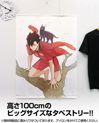 Haikyu!! To The Top 100cm Wall Scroll: Tetsuro Kuroo (Re-run) image 2