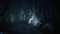 Blair Witch (Multi-Language) thumbnail 3