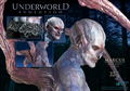 Star Ace Toys Underworld Evolution 1/6 Collectible Action Figure: Marcus thumbnail 4