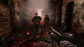 Painkiller Hell & Damnation: Operation Zombie Bunker (DLC) <span class="ext" style="background-color: #B0000F; color: #FFFFFF;">DLC</span> <span class="ext" style="background-color: #2a475e; color: #FFFFFF;">STEAM</span> <span class="ext ext_digital">digital</span> thumbnail 11