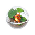 Pokemon Terrarium Collection 3 (Set of 6 pieces) (Re-run) thumbnail 3
