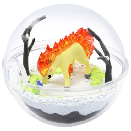 Pokemon Terrarium Collection 5 (Set of 6 pieces) (Re-run) image 7
