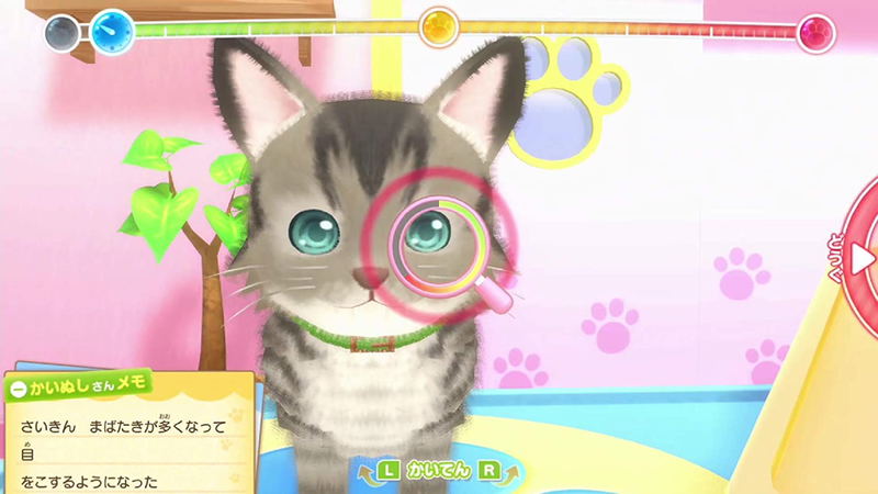 Woof Meow Animal Hospital: An Important Job to Help Pets image 4