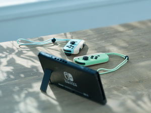 Nintendo Switch Animal Crossing: New Horizons (Generation