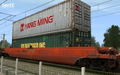Trainz Simulator: CONTZ Pack (Basic Edition) (DLC) <span class="ext" style="background-color: #B0000F; color: #FFFFFF;">DLC</span> <span class="ext" style="background-color: #2a475e; color: #FFFFFF;">STEAM</span> <span class="ext ext_digital">digital</span> thumbnail 3