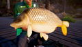 Fishing Sim World Pro Tour [Collector's Edition] (DVD-ROM) thumbnail 2