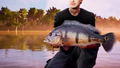 Fishing Sim World Pro Tour [Collector's Edition] (DVD-ROM) thumbnail 5
